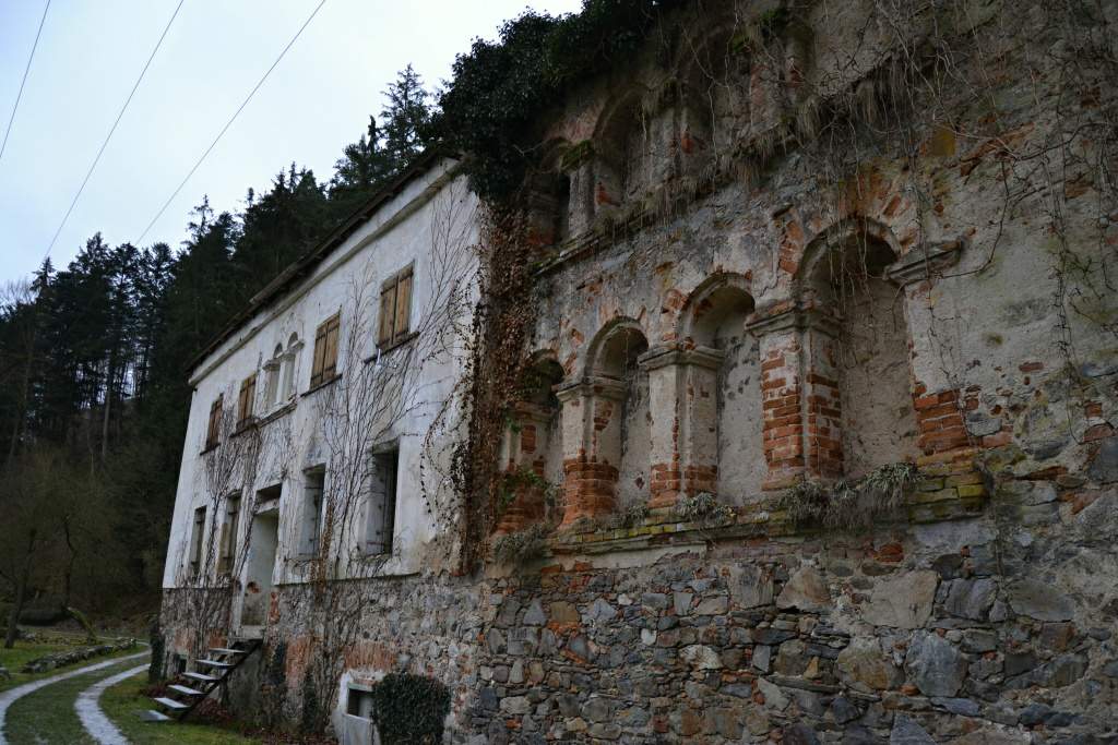 novorocni