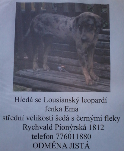 rychvald