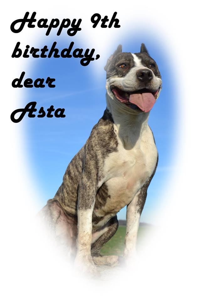 Asta nar9